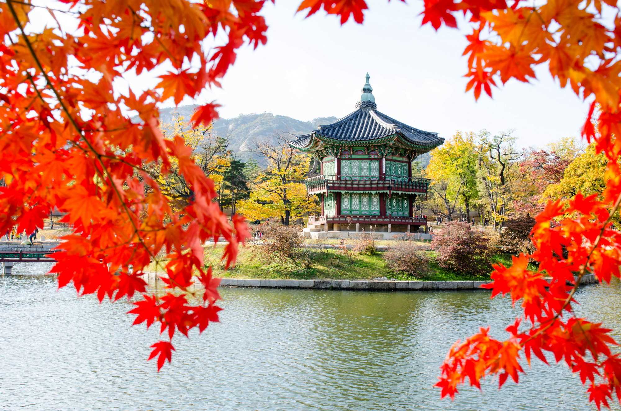 Lịch ngắm lá mùa thu Hàn Quốc 2023