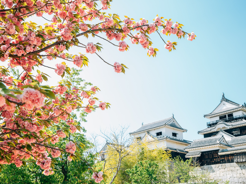 Nhật Bản : Matsuyama - Takamatsu - Kobe - Kyoto - Osaka - Kuma Ski Land - Matsuyama (Chuyến bay thẳng đến Matsuyama) | Thưởng thức bò Kobe & trải nghiệm trượt tuyết - Đón Năm Mới